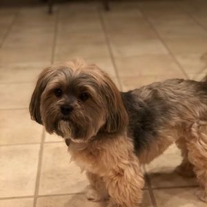 Meet your Posher, Becky